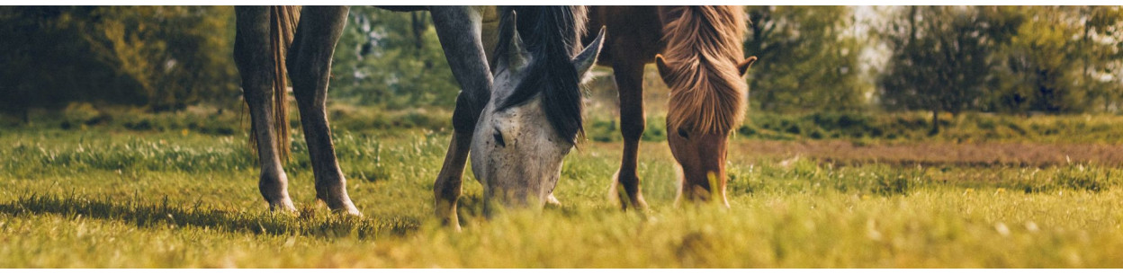 Produits 100% Naturels pour cheval